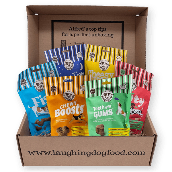 Pet Store Dog friendly store for pet food and more